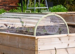 Cloches &amp; Cold Frames