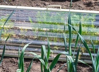 Crop Protection Crop Protection