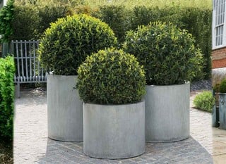 Decorative Planters &amp; Pots