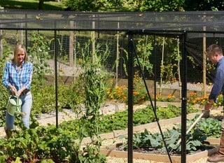 Fruit Cages