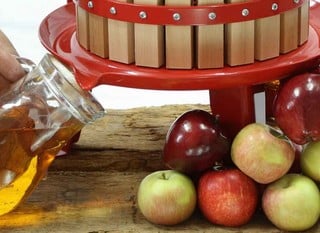 Fruit Presses