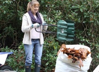 Garden Tidy