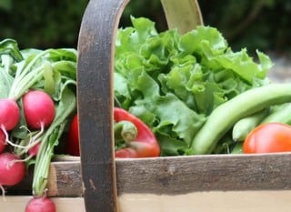 Garden Trugs &amp; Baskets