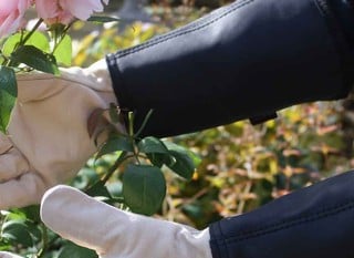 Gardening Gloves