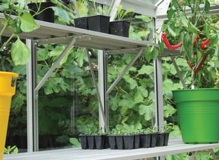 Greenhouse Staging &amp; Shelving