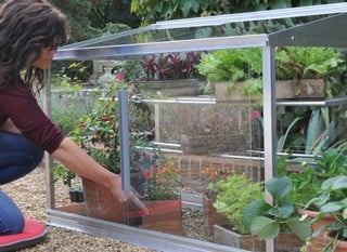 Growhouses &amp; Greenhouses