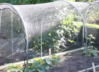 Hoops &amp; Plant Covers