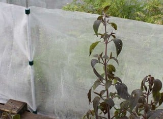 Pest Traps, Barriers &amp; Sprays