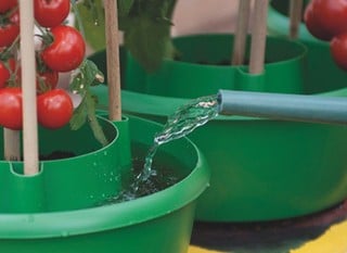 Planter &amp; Growbag Watering