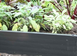 Plastic Raised Beds