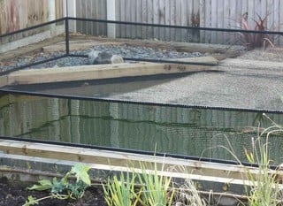 Pond Protection