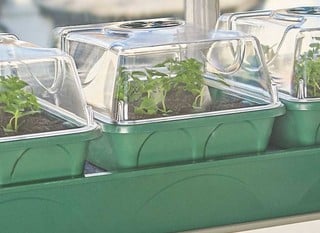 Propagators
