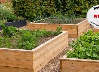 Raised Beds