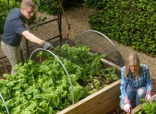 Raised Beds