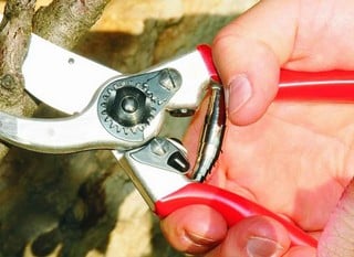 Secateurs, Loppers &amp; Scissors