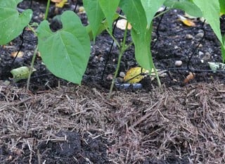 Soil Improvers &amp; Compost
