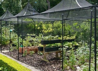 Steel Fruit Cages