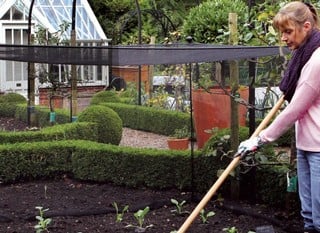 Vegetable Cages