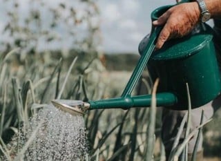 Watering Cans