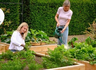 Wooden Raised Beds
