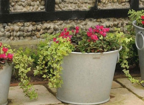 Decorative Planters Garden Supplies At Harrod Horticultural Decorative Planters Pots