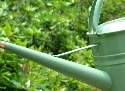 Haws Watering Cans Garden Supplies At Harrod Horticultural Haws Watering Cans