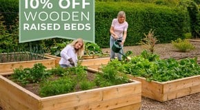 10 Benefits of Growing Your Own Fruit & Vegetables in Raised Beds!