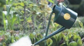 15 Ways To Be More Water Efficient