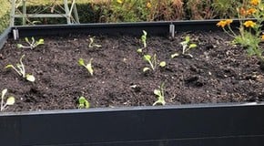 A Change in the weather