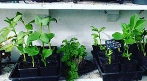 A Change in the weather