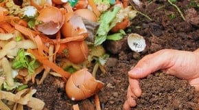 A Complete Guide to Composting