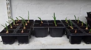 A month of four seasons