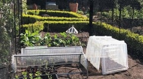 A very warm and dry May