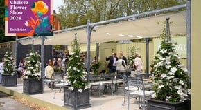 A Year in Review - Looking back at 2024