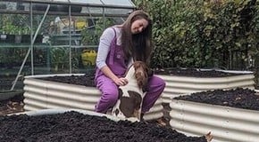 Amy Shore - The Big Veg Patch Redesign