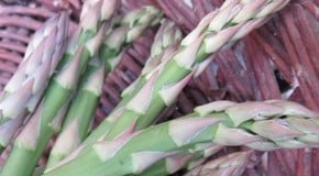 Asparagus