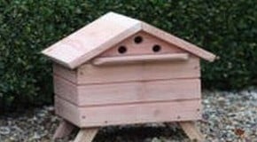 Attracting Bees to the Orchard