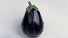 Aubergines