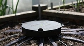 Ban Beating Watering Solutions