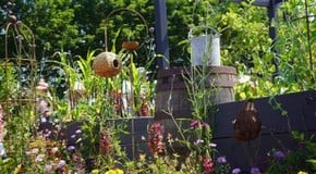 BBC Gardener's World Live 2023