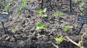 Beautiful warm weather