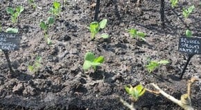 Beautiful warm weather