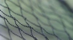 Bird Netting
