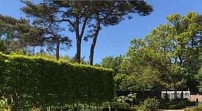 Blue skies and sunshine