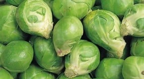 Brussel Sprouts