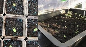 Challenging weather forecast