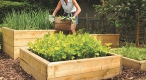 Cheer up your garden with raised vegetable beds