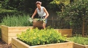 Cheer up your garden with raised vegetable beds
