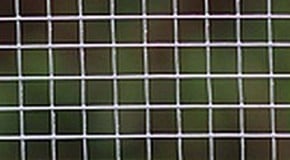 Chicken Wire Fencing