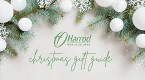 Christmas Gardening Gift Guide